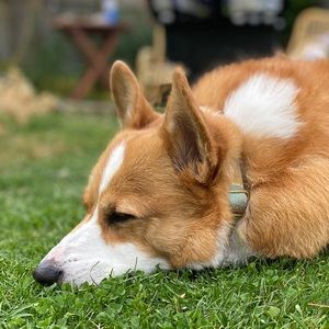 Meet your Posher, Jenna